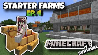 MINECRAFT SURVIVAL EP. 4 | STARTER FARMS (May alaga akong Camel!!!)