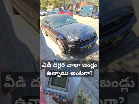వీడి దగ్గర చాలా బండ్లు ఉన్నాయి అంటగా Mustang is the secret of my energy Motorsports usa telugu vlogs