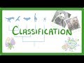 Classification and Evolution Concepts