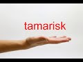 Tamarisk Management and Adaptation