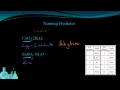 Hydrates and Their Formulas