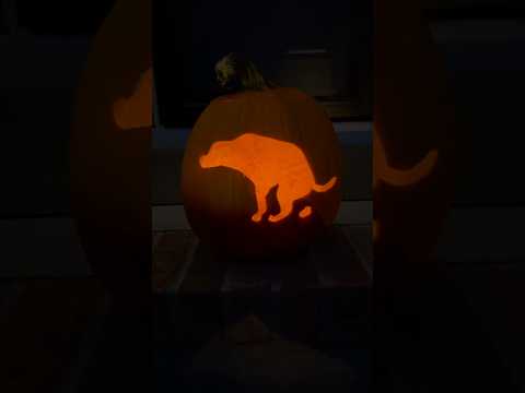 this year's best jack'o'lanterns ๐ #halloween #diy #halloweendecor #pumpkindecor #crafts #funny