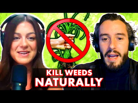 Why Do Weeds Keep Growing in My Garden? How to Naturally Get Rid of Weeds Without Chemicals