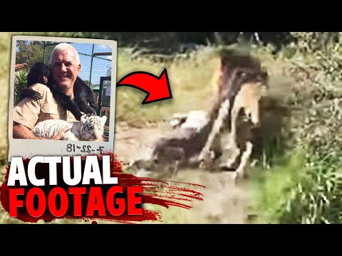 The HORRIFYING Footage of Mike Hodge MAULED By His Lion!