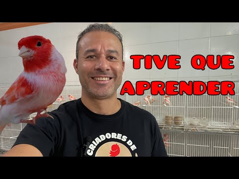 Quando aprendi isso… passei a ser mais feliz com minha criação