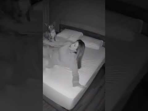 wtf 8 !! ๐ฑ๐ฐ๐ป #horror #night #fantom #wtf #sleep #viral #fyp #foryou