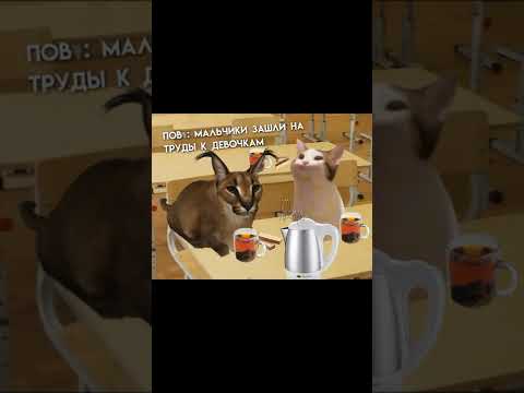 Шлёпа зашёл к девочкам на труды и потом....