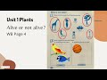 Identifying Living and Non-Living Things