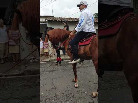 hermosa desfile