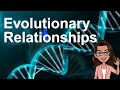 Understanding Evolutionary Relationships