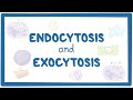 Exploring Endocytosis and Exocytosis Processes