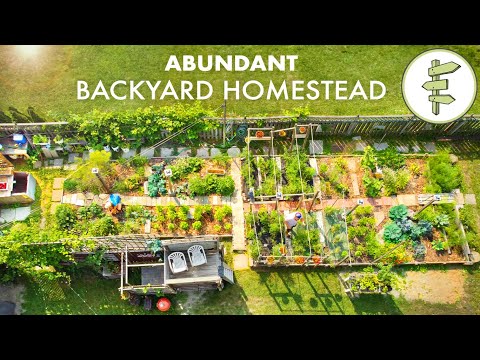 Couple's Amazing Backyard Homestead Produces TONS of Food in the City + FULL GARDEN TOUR