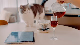 4 Homemade Summer Dishes with My Cat | 🍊 Orange Coffee, 🍗 Gochujang Lime Chicken, Etc