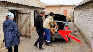 видео