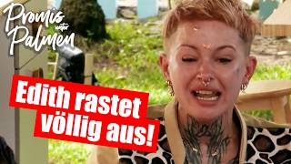 Promis unter Palmen 2026: EDITH STEHFEST RASTET VÖLLIG AUS!