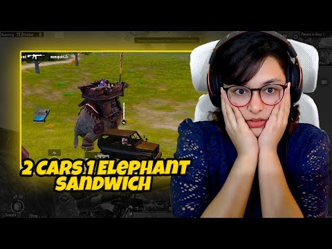 2 cars 1 Elephant | Solo vs Squad Funny PUBG Live Highlights