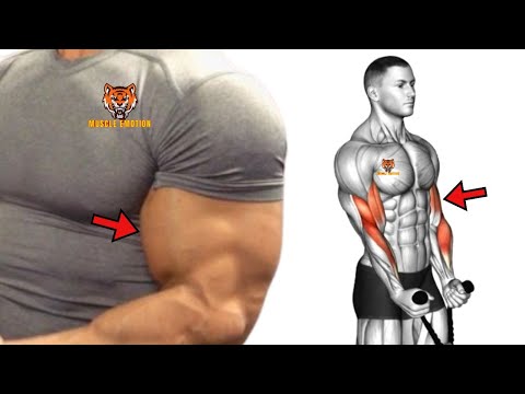 5 BEST BICEPS WORKOUT WITH CABLE ONLY AT GYM