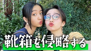 靴箱を妹に侵略される姉 #cocomi #koki #キムタク #娘 #工藤静香