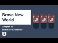 Themes and Characters in Brave New World