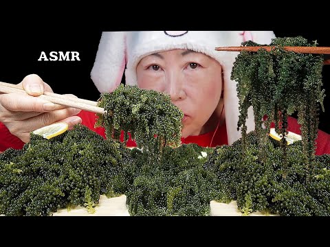 ASMR MUKBANG 바다포도 리얼사운드 먹방, SEA GRAPES EATING SOUNDS