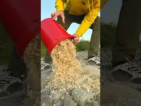Survival Skills: Made a Sawdust Stove for Survival 🪵 #bushcraft #camping #survival #outdoors