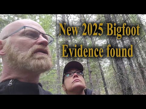 New 2025 Bigfoot Evidence discovered