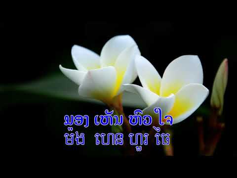 Lao song : ດວງຈຳປາ DuangJampa ดวงจำปา V.2