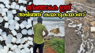 കന്റെയ്നറുകൾ വർക്കല തീരത്തും | Ship Containers at Varkala Beach