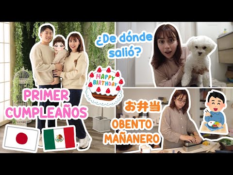 PRIMER CUMPLEAÑOS DE MIA 🥹💖 POR QUÉ AHORA TENEMOS PERRITO 🐶 REANUDANDO LOS OBENTOS 🍱 | Juli