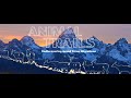 Migration Challenges and Conservation in Grand Teton