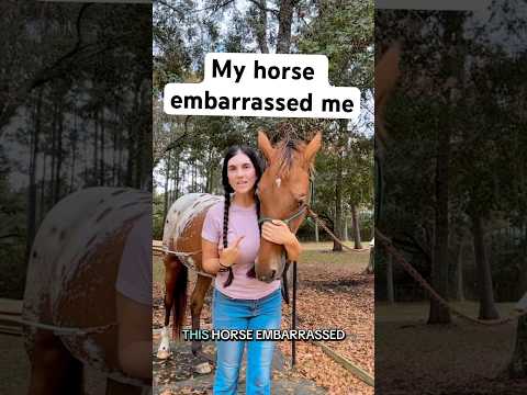 I was mortified #horse #horses #appaloosa #colt #western #cowgirl #cowboy #horsetraining #farrier