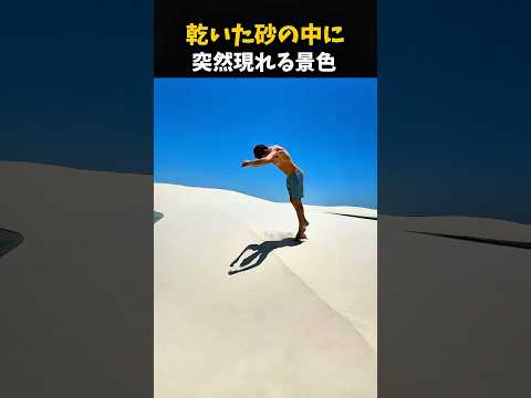 乾いた砂の中に突然現れた景色