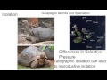Evolutionary Concepts and Natural Selection