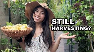 10 Garden Hacks You Need This Summer!