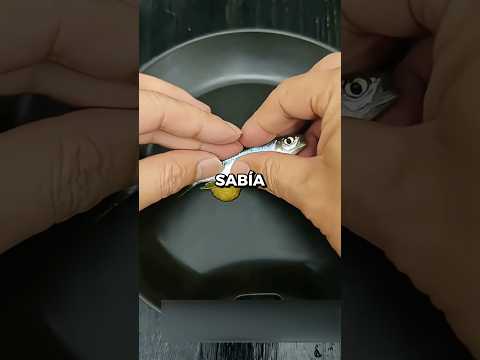 ¿Qué pasa cuando se cruzan dos especies de peces?🤔