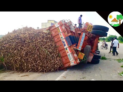 lorry accident with sugarcane load / truck accident with heavy load sugarcane - Come To Village