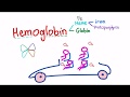Hemoglobin and Anemia Concepts