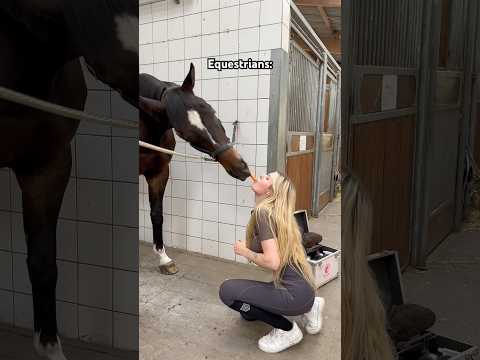 It is what it is 🙋🏼‍♀️😂🤝🏻 #equestrain #shorts #viral