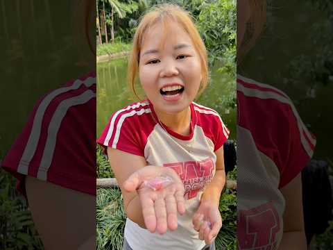màu gì đây? #vanvan