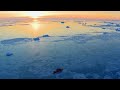 Exploring the Albedo Effect and Its Impact on Climate Change