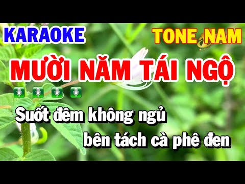 Karaoke Mười Năm Tái Ngộ | Nhạc Sống Tone Nam F#m | Karaoke Thanh Hải