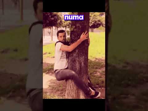coisas que todo mundo já fez quando era criança #vtuber #memes