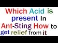 Understanding Ant Sting and Relief Methods