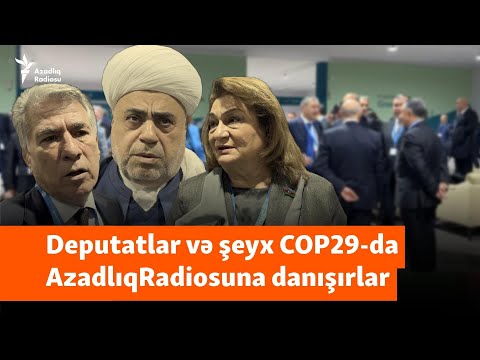 “YAP-ın 7 üzvü həbsdədir” - Deputatlar AŞPA və həbslər barədə danışırlar