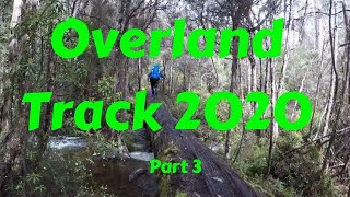 Overland Track 2020 - Part 3 of 4