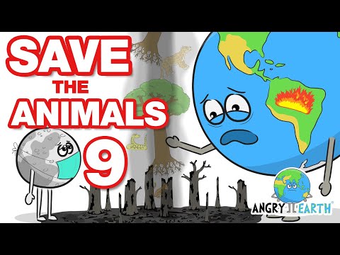 ANGRY EARTH images compilation 26 : Save The Animals 9