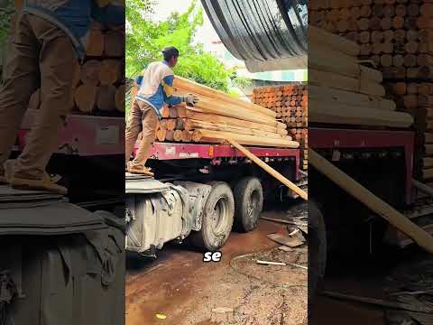 Técnicas de preservación de la madera #foryou #shorts #woodworking