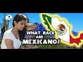 Latin American Racial Identity Concepts