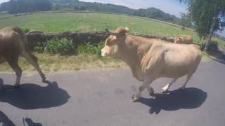 CAMINHO DE SANTIAGO DE COMPOSTELA - DIA 34