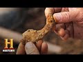 Exploration Findings and Investigations